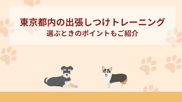 東京都内の出張しつけトレーニングおすすめ7選！選ぶときのポイントもご紹介