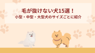 毛が抜けない犬15選！小型・中型・大型犬のサイズごとに紹介