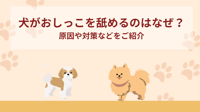 犬がおしっこを舐めるのはなぜ？原因や対策などをご紹介