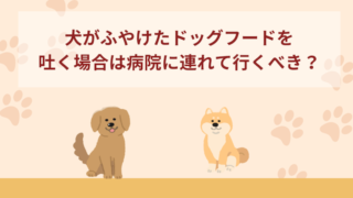 犬がふやけたドッグフードを吐く！病院に連れて行くべき？