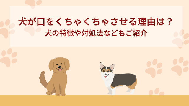 犬が口をくちゃくちゃさせる理由は？犬の特徴や対処法などもご紹介