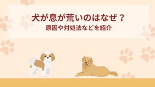 犬が息が荒いのはなぜ？原因や対処法