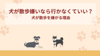 犬が散歩嫌いなら行かなくていい？犬が散歩を嫌がる理由