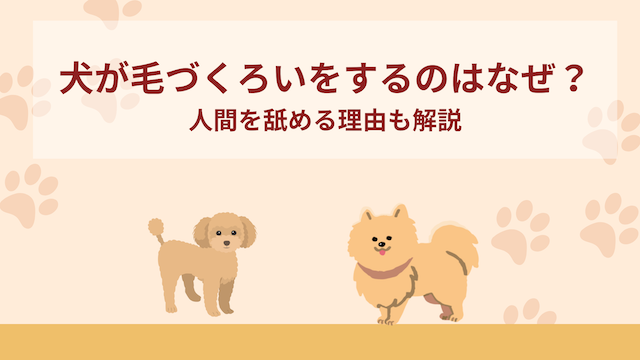 犬が毛づくろいをするのはなぜ？リラックス？人間を舐める理由は？