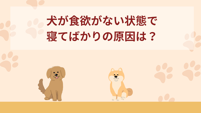 犬が食欲がない状態で寝てばかりの原因は？対処法もご紹介