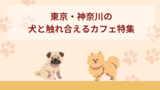 犬と触れ合えるカフェおすすめ！【東京・神奈川】