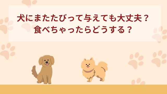 犬にまたたびって与えても大丈夫？食べちゃったら？効果を解説