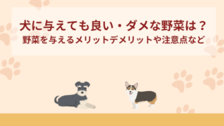 犬に与えても良い・ダメな野菜は？野菜を与えるメリットデメリットや注意点などの紹介！