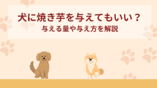 犬に焼き芋を与えてもいい？皮は？量や与え方を解説