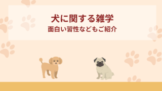 犬に関する雑学15選！面白い習性などもご紹介