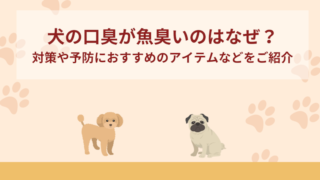 犬の口臭が魚臭いのはなぜ？対策や予防におすすめのアイテムなどをご紹介！
