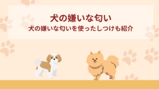 犬の嫌いな匂い・寄り付かない臭い10選！犬の嫌いな匂いを使ったしつけも