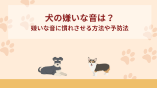 犬の嫌いな音は？嫌いな音に慣れさせる方法や予防法