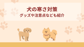 犬の寒さ対策13選！グッズや注意点なども紹介