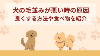 犬の毛並みが悪い時の5つの原因！良くする方法や食べ物を紹介