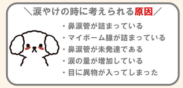 犬の涙やけで考えられる原因