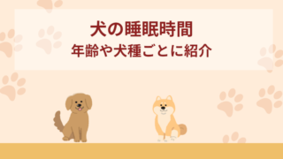 犬の睡眠時間を年齢や犬種ごとに紹介！環境づくりのポイントも