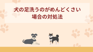 犬の足洗うのがめんどくさい場合の対処法！洗いすぎがNGな理由も紹介