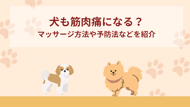 犬も筋肉痛になる？マッサージ方法や予防法など