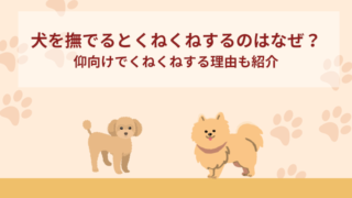 犬を撫でるとくねくねするのはなぜ？仰向けでくねくねする理由も紹介