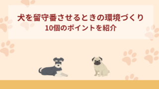 犬を留守番させるときの環境づくりの10個のポイントを紹介
