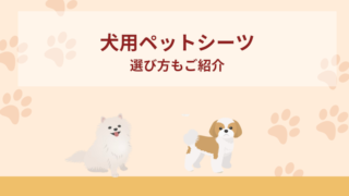 犬用ペットシーツおすすめ10選！選び方もご紹介！