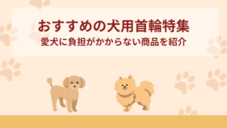 犬用首輪おすすめ7選！愛犬に負担がかからないアイテムを徹底解説