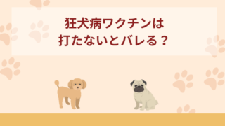 狂犬病ワクチンって打たないとバレる？免除される時はどんな時？