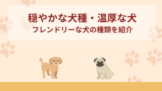 穏やかな犬種・温厚な犬10選！フレンドリーな犬を紹介