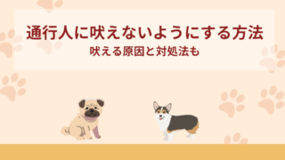 通行人に吠える犬にさせないための方法5つ！吠える原因と対処法も