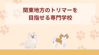 関東地方にあるトリマーを目指せる専門学校7選！選び方も解説