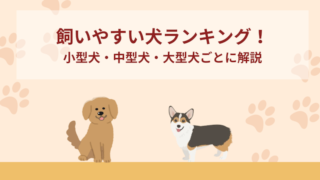 飼いやすい犬ランキング！小型犬・中型犬・大型犬ごとに解説