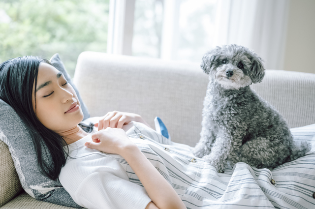 飼い主の上に乗る犬