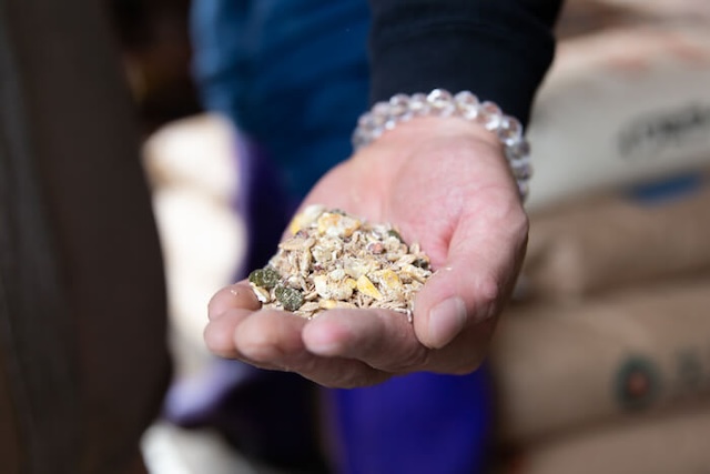 馬肉自然づくりの馬の肥育環境