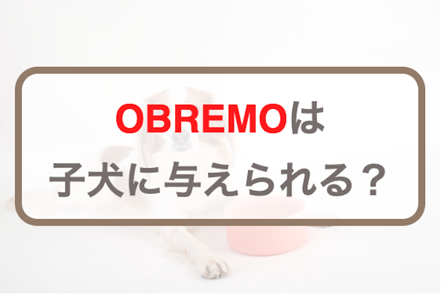 OBREMOって子犬にも与えてOK？何歳から与えていいのか解説