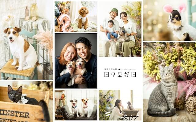 日々是好日（ひびこれこうじつ）