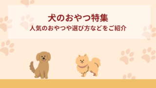 犬のおやつおすすめ8選！人気のおやつや選び方などをご紹介！
