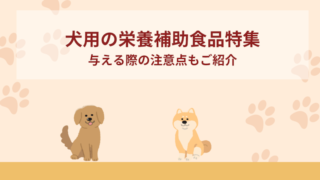 犬用の栄養補助食品おすすめ5選！与える際の注意点もご紹介