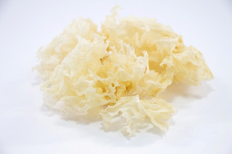 ミラネストゼリー_シロキクラゲ