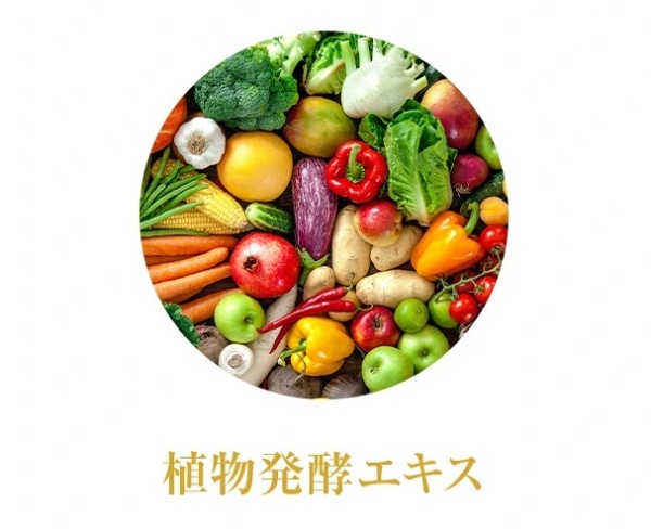 ミラネストゼリー_植物発酵エキス