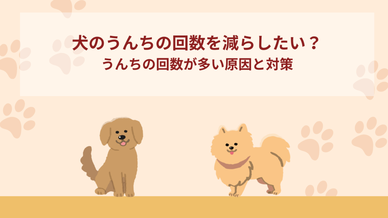 犬のうんちの回数を減らしたい