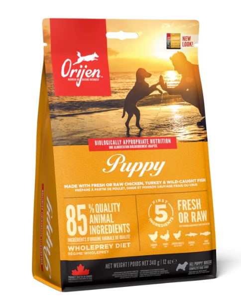 オリジン パピー_トップ