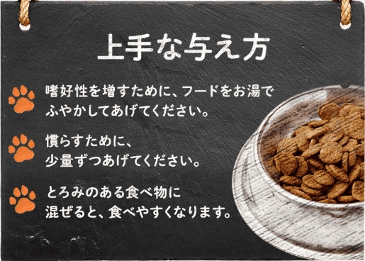 犬用サプリメント「アイズワン」の与え方