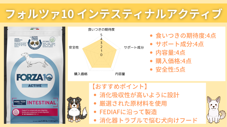 フォルツァ10 インテスティナルアクティブ