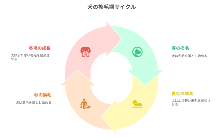 犬_換毛期