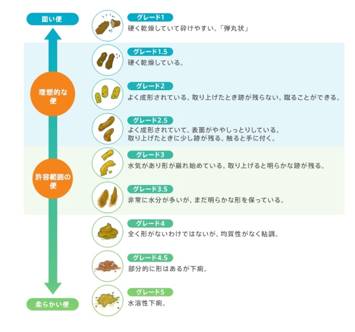 糞便スコアチャート