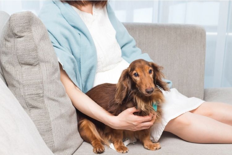 ナチュロル_高消化＆腸内サポート