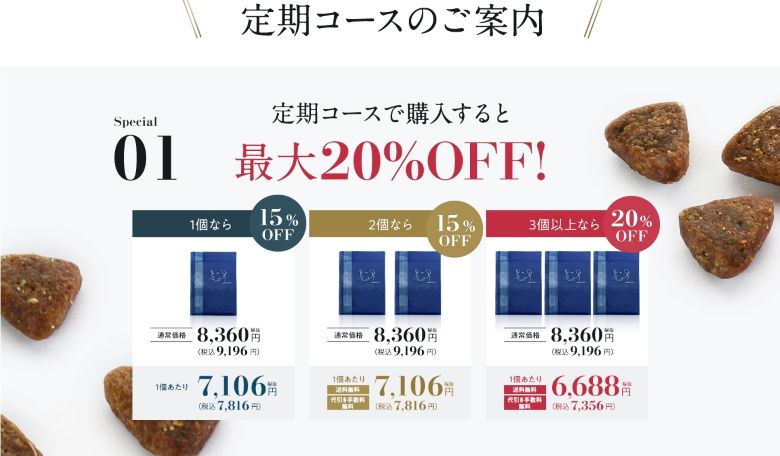 ネルソンズ_定期コースのご案内