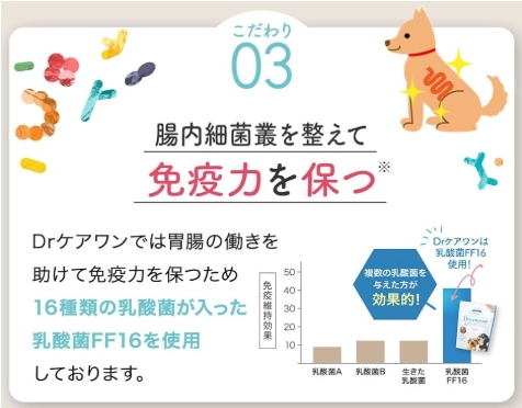 Dr.ケアワン_腸活