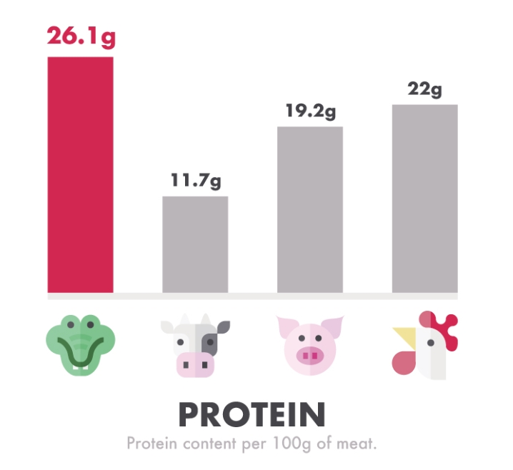 INUMESHIセベクシリーズタンパク質